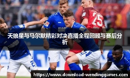 天狼星与马尔默精彩对决直播全程回顾与赛后分析